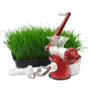 Hand Wheatgrass Juicer Icon 128x128 png